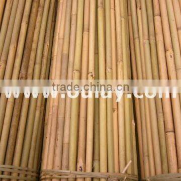 Tonkin bamboo canes wholesales