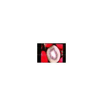 Indoor slim P4 led screen