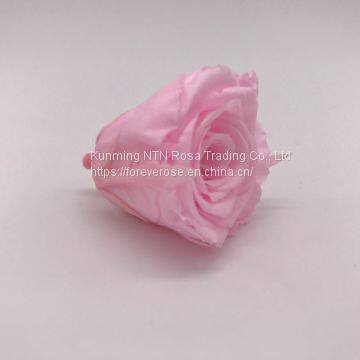 Preserved Real Natural Long Lasting Eternity Roses Head For DIY Forever Flower Box photo-5