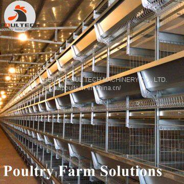 H Type Layer Chicken Chicken Cage With Full Automatic Equipment for 100000 Birds photo-5