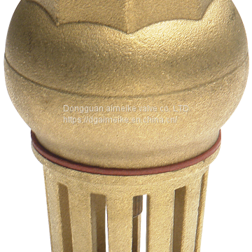 Strainer Brass Foot Valve 815V Cast Iron Piston Water Check Valve For EN1092 PN20