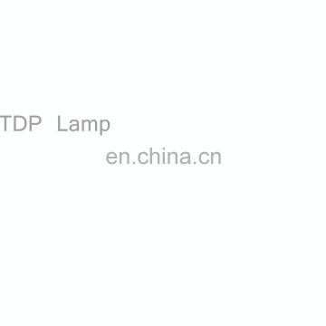 Body Care Rehabilitation Infrared Therapy TDP Lamp for Acupuncture