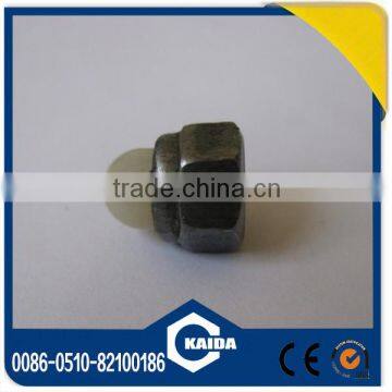 Nylon Domedcap Nut