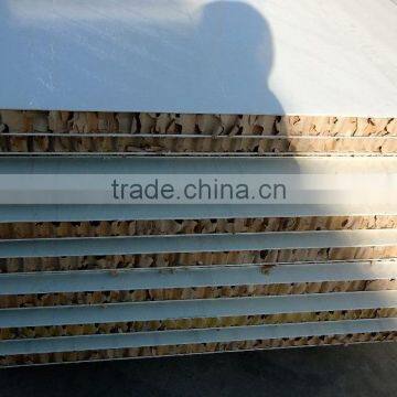 Paper Honeycomb Core Sandwich Panel for Wall / Door Use photo-5