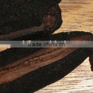 Dry PERU SEA CUCUMBER