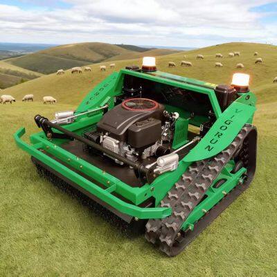 Wildfire Prevention Zones Grass Control Factory Direct Sales Low Price Buy Online Wireless Caterpillar Grass Cutting Machine