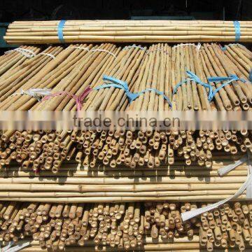 Bamboo canes