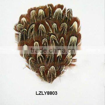 ringneck church window pad LZLY8803