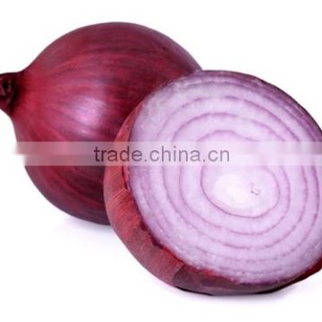 High quality fresh onions