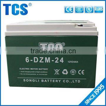 New design electric bike battery 24ah