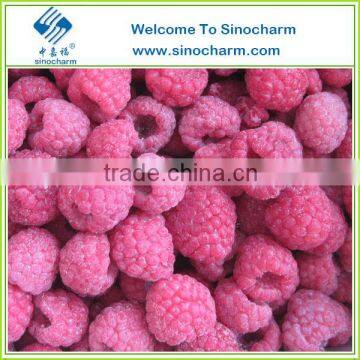 5% Broken Extra Quality IQF Raspberry Whole