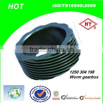 Bus And Truck Parts Gearbox Worm Manufacturer in China(1250 304 198)