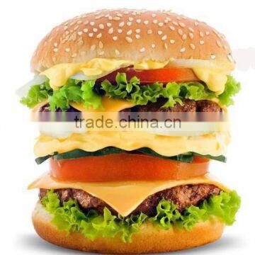 Metal Hamburger Press Veggie Patties Maker for Barbecue Burger Maker Press photo-5