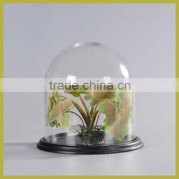 glass dome with MDF base in black