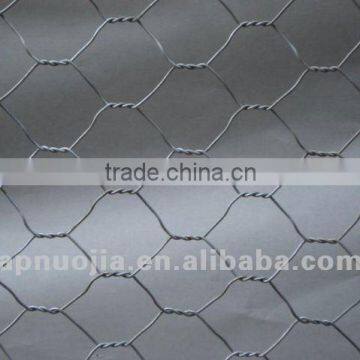 Anping Nuojia Chicken Wire mesh(Galvanized or PVC)