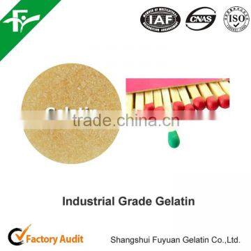 Chemicals>>Adhesives & Sealants Gelatin>>Industrial Gelatin