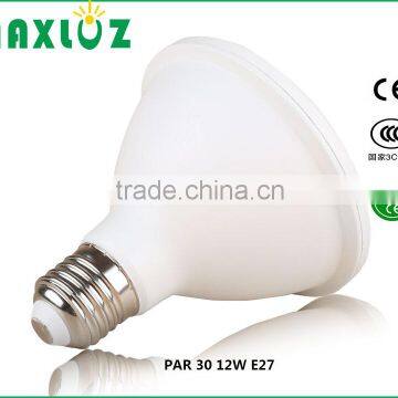 led PAR light PAR 30 SMD12W