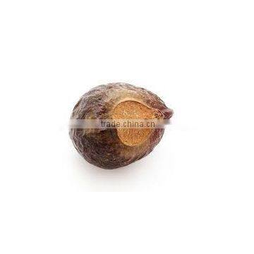 Indian Organic Natural Soapnut /Saponins Seeds in Second Grade photo-4
