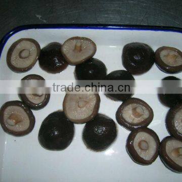 canned shiitake mushroom