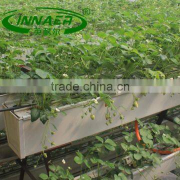 fruit plant slot to development of farmers' economic