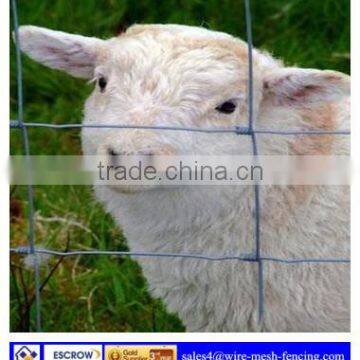 ISO9001:2008 Deer field fencing for sale/Grassland Fence