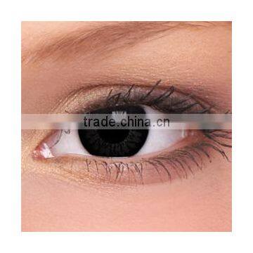 ColourVue Big Eyes lenses Dolly Black 2pk MAXVUE VISION