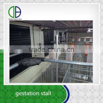 Good Quality Pig Box Livestock Pen Sow Gestation Crates