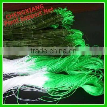 Vegetable Climbing Net /PE Plant Support Net