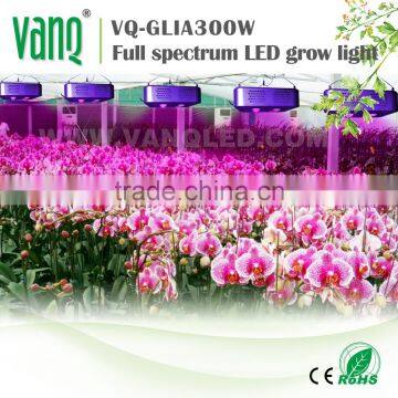 VANQ high power 300w LED lighting for growing medical plants,lights for greenhouse