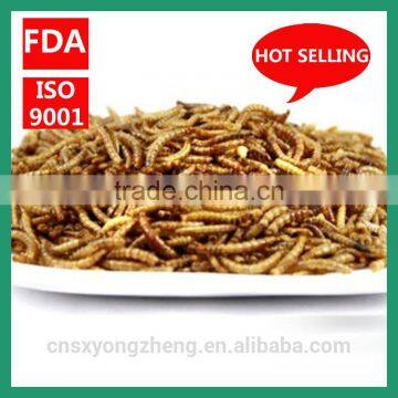 Yongzheng 25mm Freeze Dried Tenebrio Molitor ;Dried Tenebrio Molitor ; Tenebrio Molitor for Birds photo-2