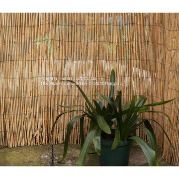 Bamboo Style Rolled Woven Reed Fence for Garden Decoration
