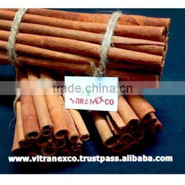 Cinnamomum Quilling photo-2