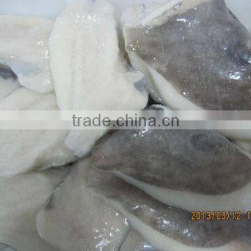 Frozen john dory fillet