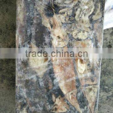 Frozen Peru Squid Wholesale photo-6