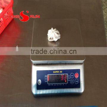 Baby Octopus photo-4