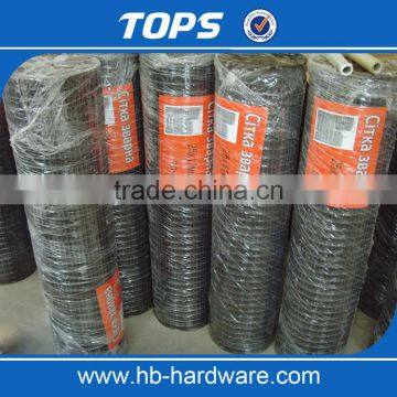 China Low Carbon Hot Dipped 1/4 Inch Galvanized Welded Wire Mesh photo-6