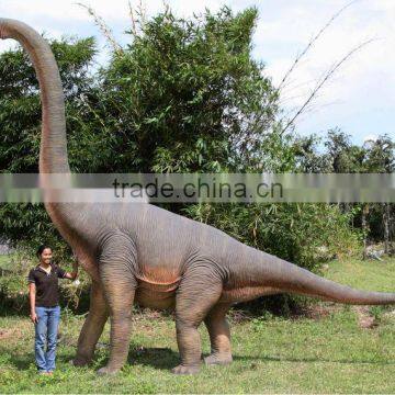 Brachiosaurus photo-2