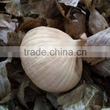 Fermented Garlic Newest Price--HC Company photo-2