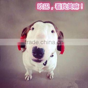 R1941H Lovely Cute Dog Wig,wigs for Dogs,dog Wig photo-4