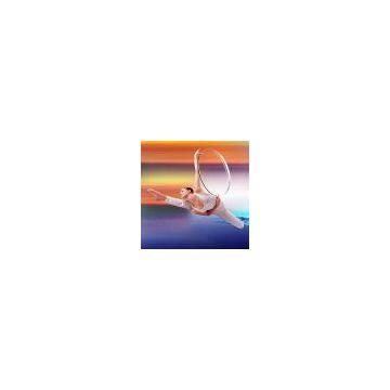 Sell CR-39 Flat Top Bifocal Lens