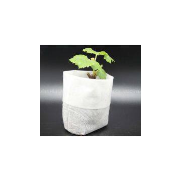 Polylactic Acid (PLA) Nonwovens photo-3