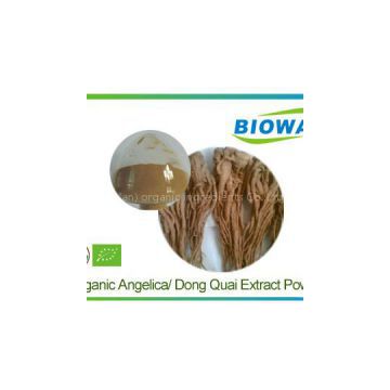 Organic Angelica Extract Powder