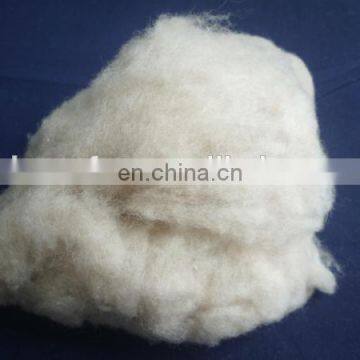 Dehaired and Carded Chinese Sheep Wool Med Shade 19.5mic/30-32mm