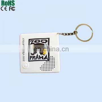 Hot Selling Keychain Voice Recorder with Custom Logo