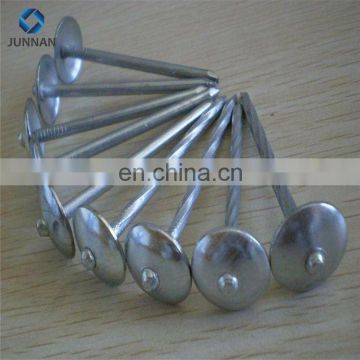 High Quality Stainless Wire Steel Nail For Construction