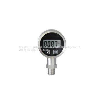 Pressure Gauge PT3081