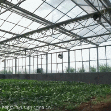 Multi Span PC GLASS Agricultural Greenhouse photo-5