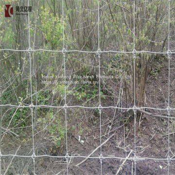 Surrounding Type Metal Fence for Grassland /field Fence Attractive Appearance photo-4