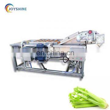 Industrial Salad Fruit Vegetable Washer Machine Apple Avocado Carrot Washer With Ozone Generator photo-6