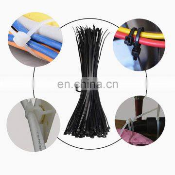 Hampool High Quality Black 9.0*820MM Eco Flexible Self-locking Nylon Plastic Cable Tidy photo-5